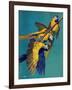 "Three Parrots,"March 11, 1939-Julius Moessel-Framed Giclee Print