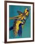 "Three Parrots,"March 11, 1939-Julius Moessel-Framed Giclee Print