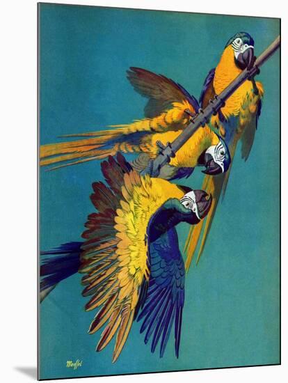 "Three Parrots,"March 11, 1939-Julius Moessel-Mounted Giclee Print