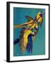 "Three Parrots,"March 11, 1939-Julius Moessel-Framed Giclee Print