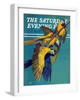 "Three Parrots," Saturday Evening Post Cover, March 11, 1939-Julius Moessel-Framed Giclee Print