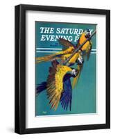 "Three Parrots," Saturday Evening Post Cover, March 11, 1939-Julius Moessel-Framed Giclee Print