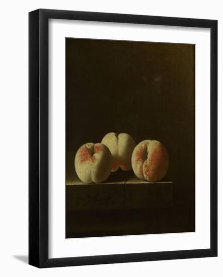 Three Peaches on a Stone Plinth-Adriaen Coorte-Framed Art Print