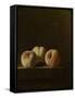 Three Peaches on a Stone Plinth-Adriaen Coorte-Framed Stretched Canvas