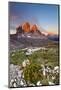 Three peaks of Lavaredo, Dolomites, Italy. The early morning colors the three peaks, in summertime.-ClickAlps-Mounted Photographic Print