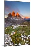 Three peaks of Lavaredo, Dolomites, Italy. The early morning colors the three peaks, in summertime.-ClickAlps-Mounted Photographic Print