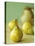 Three Pears, a Jug Behind-Michael Paul-Stretched Canvas
