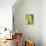 Three Pears, a Jug Behind-Michael Paul-Photographic Print displayed on a wall