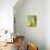 Three Pears, a Jug Behind-Michael Paul-Mounted Photographic Print displayed on a wall