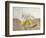 Three Pears on a Plate, Still Life, 1990-Arthur Easton-Framed Giclee Print