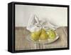 Three Pears on a Plate, Still Life, 1990-Arthur Easton-Framed Stretched Canvas