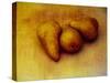 Three Pears-Kevin Kuenster-Stretched Canvas