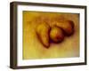 Three Pears-Kevin Kuenster-Framed Photographic Print