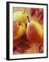 Three Pears-Vladimir Shulevsky-Framed Photographic Print