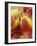 Three Pears-Vladimir Shulevsky-Framed Photographic Print