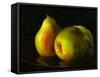 Three Pears-Terri Hill-Framed Stretched Canvas