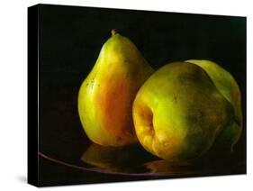 Three Pears-Terri Hill-Stretched Canvas