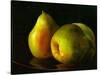 Three Pears-Terri Hill-Stretched Canvas
