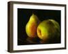 Three Pears-Terri Hill-Framed Premium Giclee Print