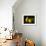 Three Pears-Terri Hill-Framed Premium Giclee Print displayed on a wall