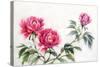 Three Peonies-Surovtseva-Stretched Canvas