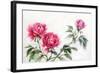 Three Peonies-Surovtseva-Framed Art Print