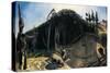 Three Pigs and a Mountain, C.1922-George Wesley Bellows-Stretched Canvas