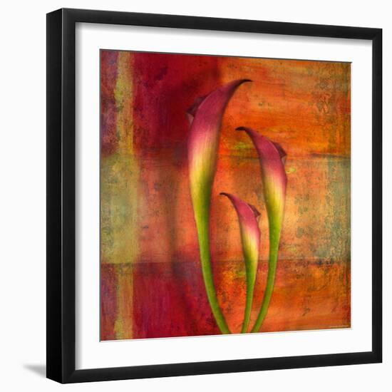 Three Pink Lilies-Robert Cattan-Framed Photographic Print