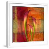 Three Pink Lilies-Robert Cattan-Framed Photographic Print