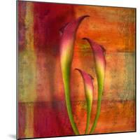 Three Pink Lilies-Robert Cattan-Mounted Photographic Print