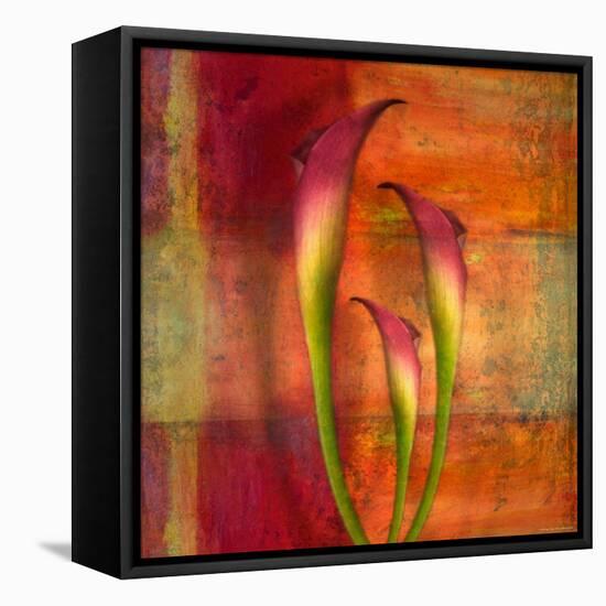 Three Pink Lilies-Robert Cattan-Framed Stretched Canvas