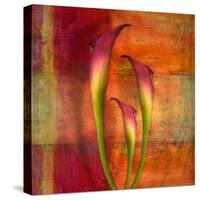 Three Pink Lilies-Robert Cattan-Stretched Canvas