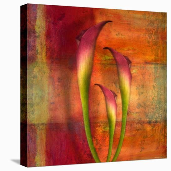 Three Pink Lilies-Robert Cattan-Stretched Canvas