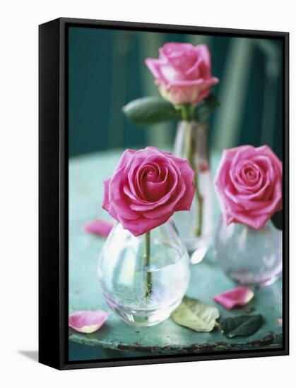 Three Pink Roses in Vases on a Garden Table-Michael Paul-Framed Stretched Canvas