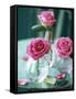 Three Pink Roses in Vases on a Garden Table-Michael Paul-Framed Stretched Canvas