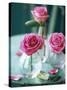 Three Pink Roses in Vases on a Garden Table-Michael Paul-Stretched Canvas