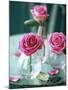 Three Pink Roses in Vases on a Garden Table-Michael Paul-Mounted Photographic Print