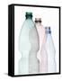 Three Plastic Bottles-Petr Gross-Framed Stretched Canvas