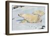 Three Polar Bears-null-Framed Art Print