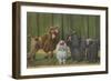 Three Poodle Specimens-Louis Agassiz Fuertes-Framed Photographic Print