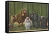 Three Poodle Specimens-Louis Agassiz Fuertes-Framed Stretched Canvas