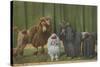 Three Poodle Specimens-Louis Agassiz Fuertes-Stretched Canvas