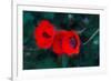 Three Poppies of Scarlet-Helen White-Framed Giclee Print