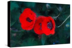 Three Poppies of Scarlet-Helen White-Stretched Canvas