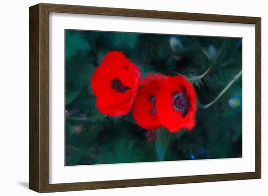 Three Poppies of Scarlet-Helen White-Framed Giclee Print