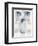 Three Portraits of Lina Cavalieri-null-Framed Art Print