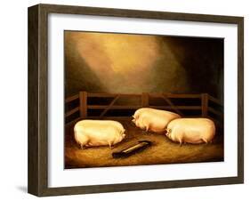 Three Prize Pigs Outside a Sty-null-Framed Giclee Print