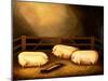 Three Prize Pigs Outside a Sty-null-Mounted Giclee Print