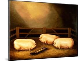Three Prize Pigs Outside a Sty-null-Mounted Giclee Print
