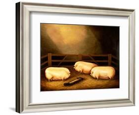 Three Prize Pigs Outside a Sty-null-Framed Giclee Print